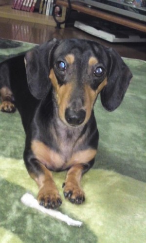 どんな時もカメラ目線(◎o◎)