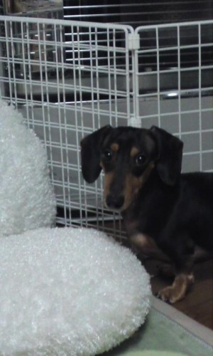 寒いんだよ～(>_<)