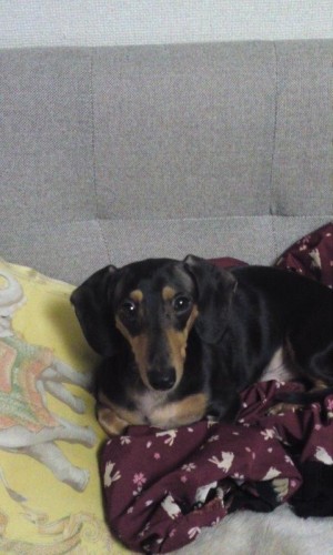 とうとう来たな～(￣○￣;)