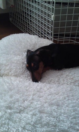 こんな姿勢で辛くない？