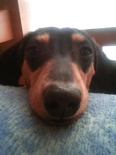 本日２度目はラオウ無しです(ρ＿；)