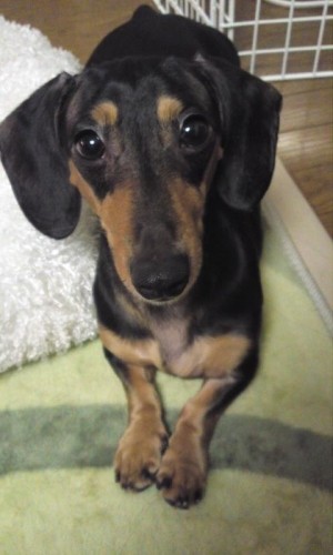 やっぱり好きだな(^w^)