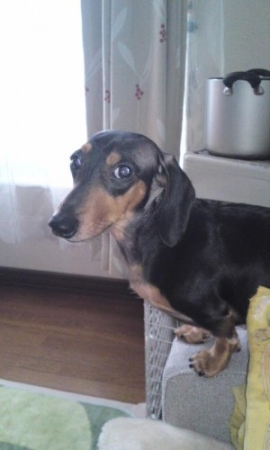 俺も行きたかったなぁ～