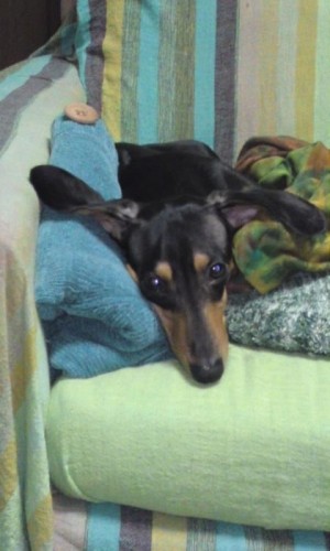 本日2件目は珍獣発見!