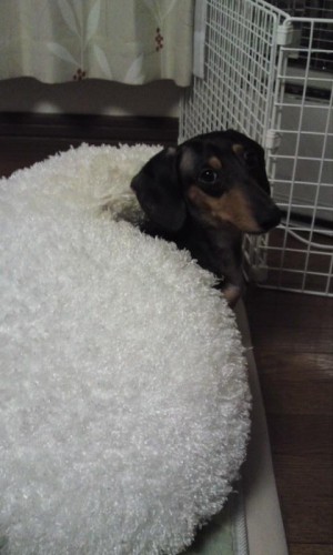 ねぇねぇ~見てよ~