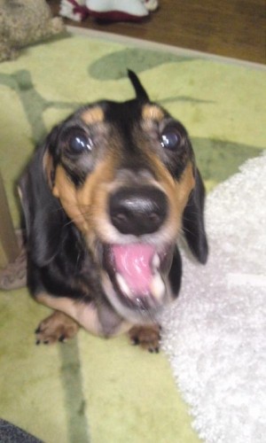 変な顔だけど「おいし~」って言ってます(^w^)