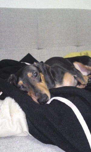 ラオウのボヤキ