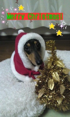 クリスマスイブはマイケルDay