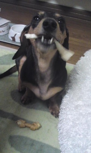 怖いよ～(￣○￣;)