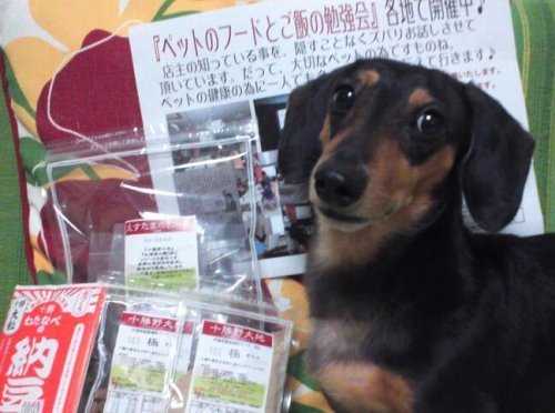 行ってきました~(^.^)