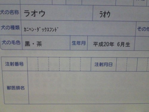 間違い探し