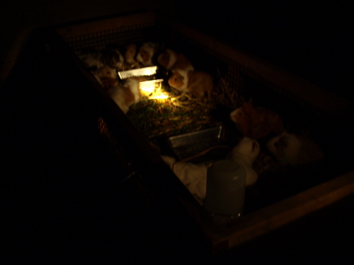 夜3(室内編)