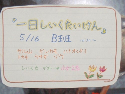 5月16日(土)は飼育体験の日 B斑