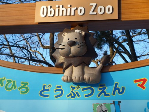 S君に助けを恋う!!　スヌーピーのTシャツで登場!