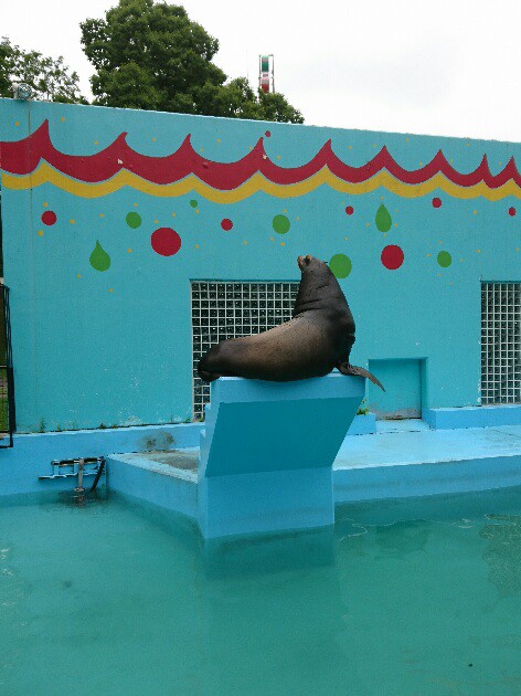 タケちゃん　まだまだ元気