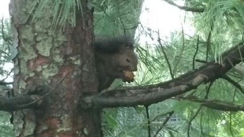 とりあえず、動物たちには被害はありませんでした。