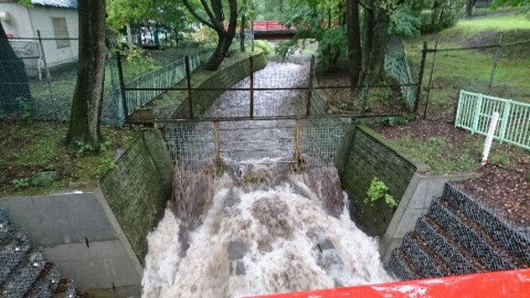 また雨が