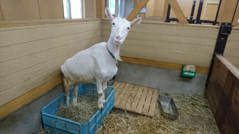 お気に入りの場所