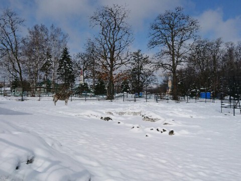 余計な雪が降りました