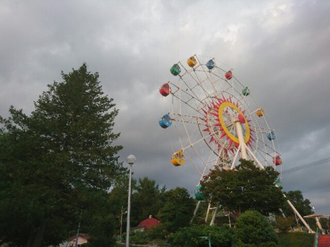 夏が戻ってきました。