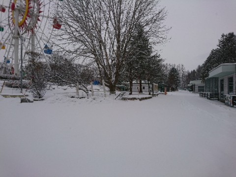 今日の雪は関西人には難易度が高かったようです。