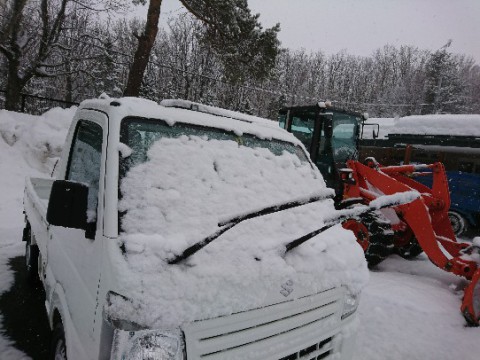 また雪が降りました。