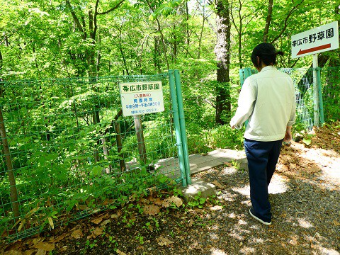 野草園