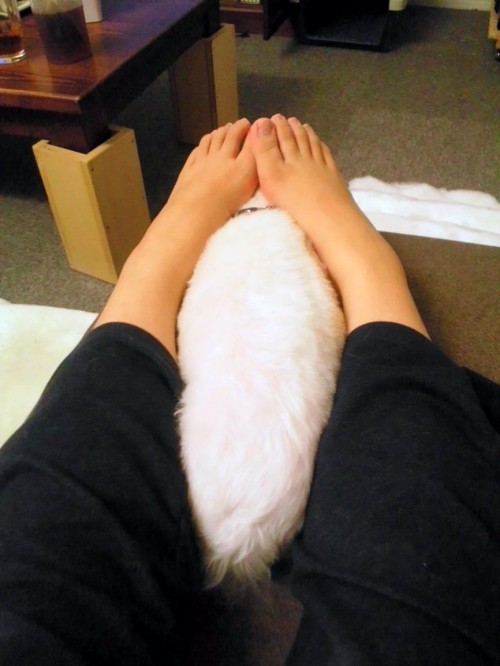 巨大毛虫。