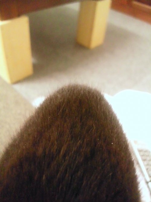 さて問題です。