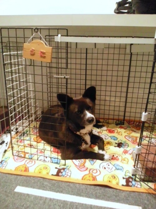 立てこもり事件。