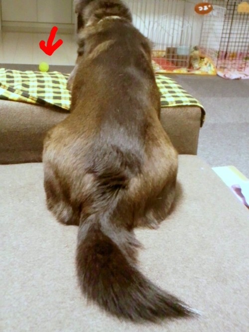 ジ～～( -_-)