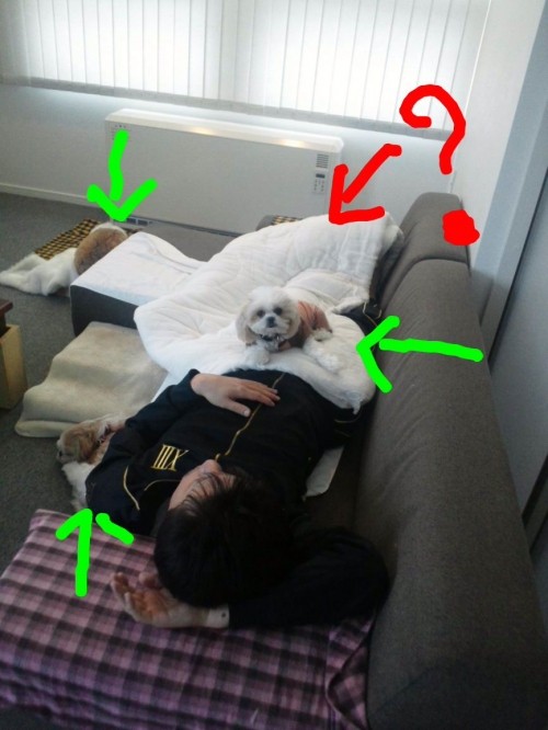 答え。