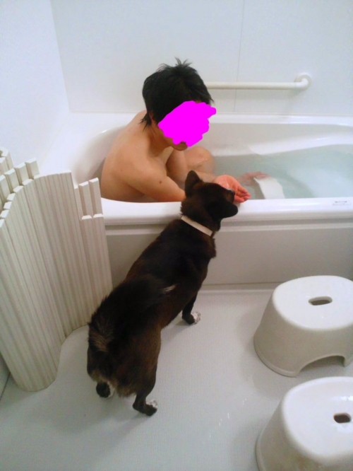 いつものちょうだい。