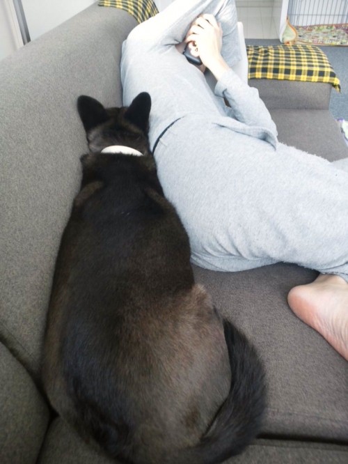 狭。