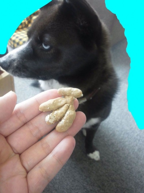 パクリ(￣∇￣)