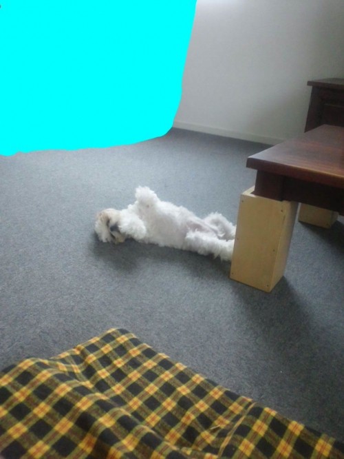 見てる・・・