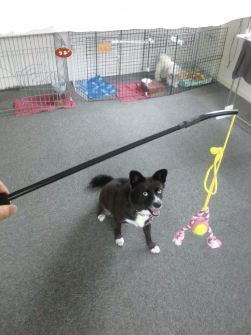 釣り。