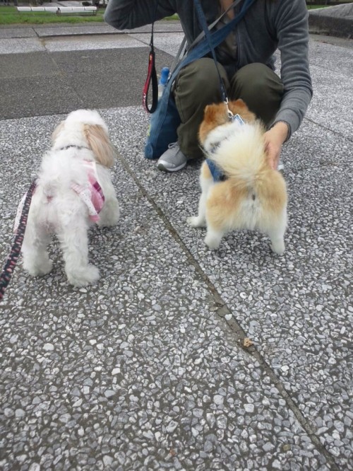 うにこのデート相手。