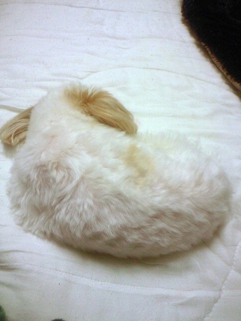 なんか