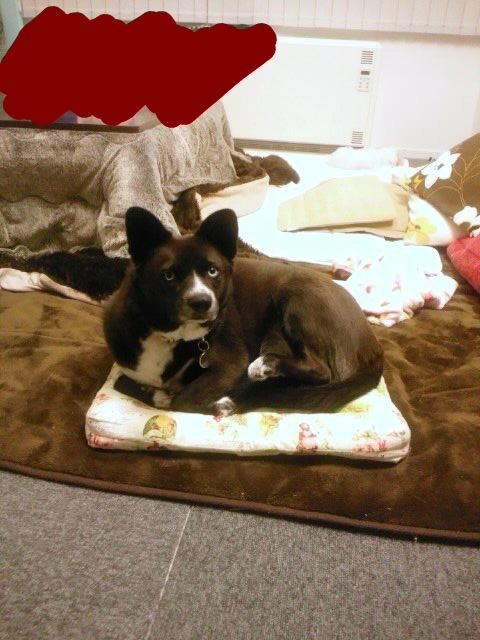 無理がある。