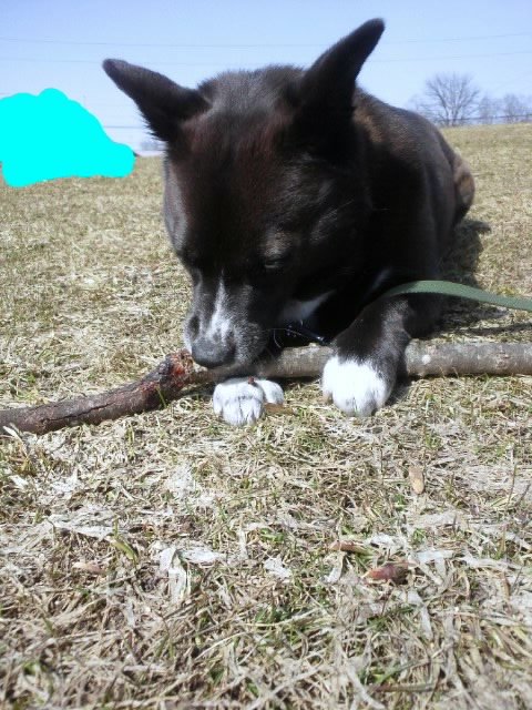 今日のお供は。。