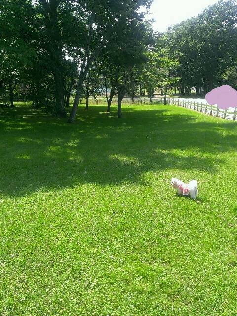 enjoyうにこ。