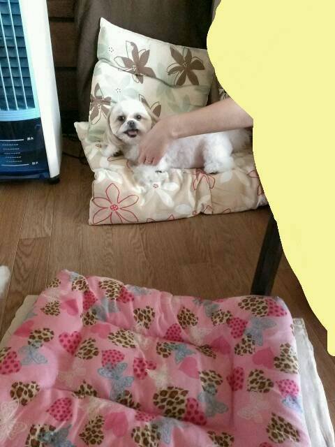 堂々。