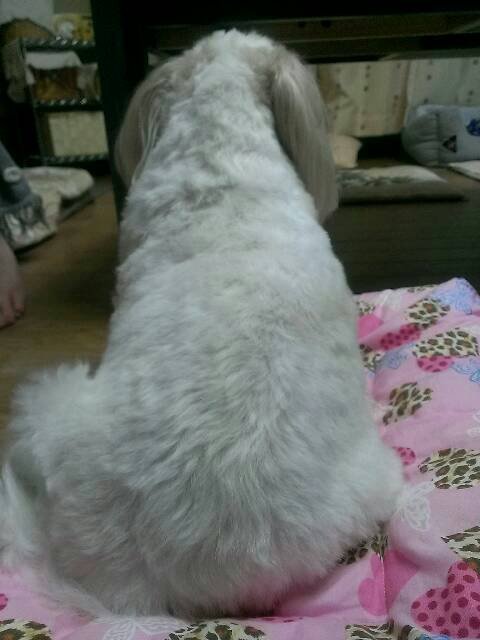 呼んでみましょう。