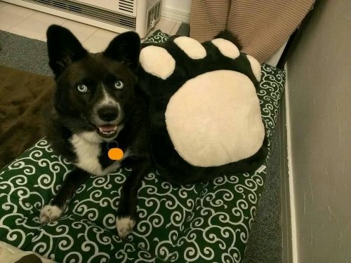 でっかくなっちゃった！