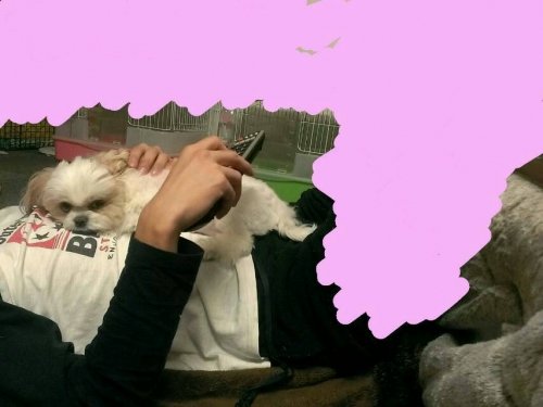 至福のとき。