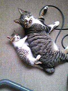 おはようございます