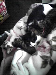 今日の日替わり500 円ランチ