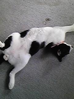 帰って来た( －_－メ)