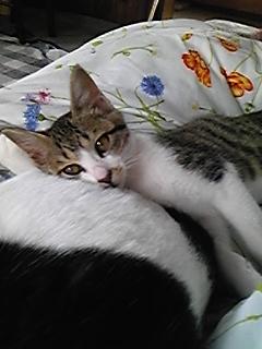 やっぱり女の子(^^)